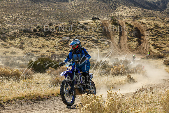 IMG_1385-214v