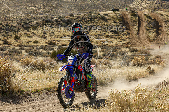 IMG_1427-413v