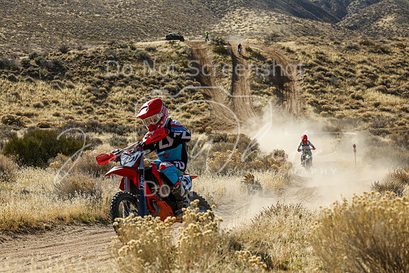 IMG_1443-25j