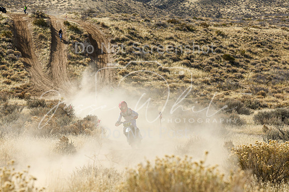 IMG_1444-124j