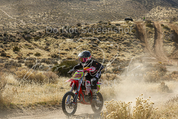 IMG_1481-227v