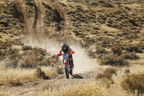 IMG_1513-350v