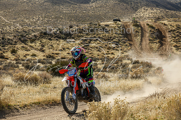 IMG_1518-350v