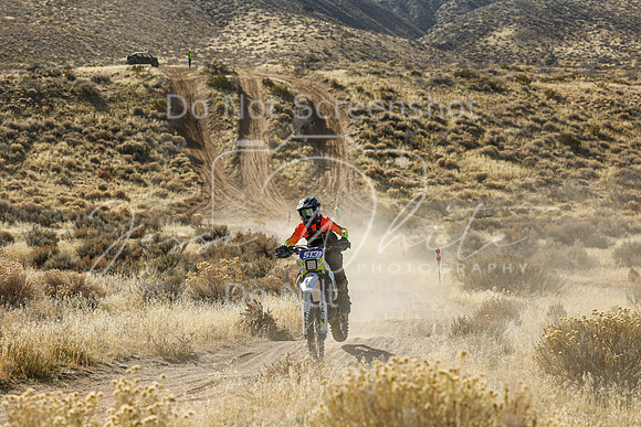 IMG_1537-513v