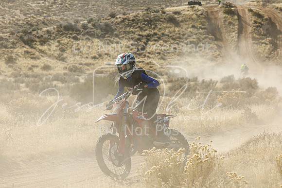 IMG_1558-319j