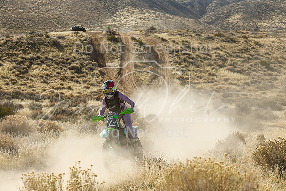 IMG_1625-77v