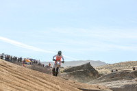 IMG_1641-777v
