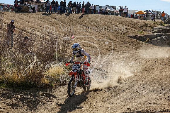IMG_1636-28j
