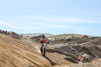 IMG_1644-777v