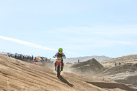 IMG_1651-474v