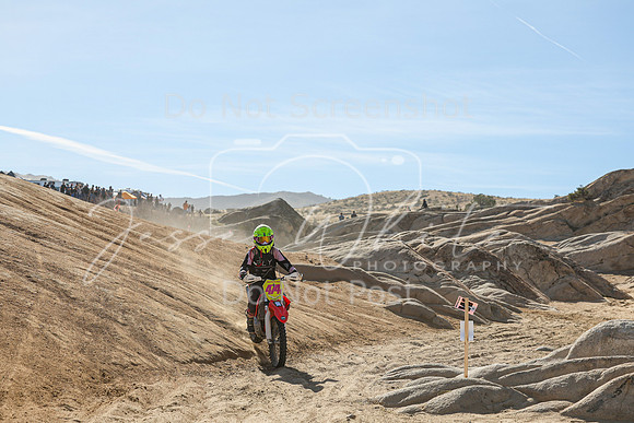 IMG_1654-474v