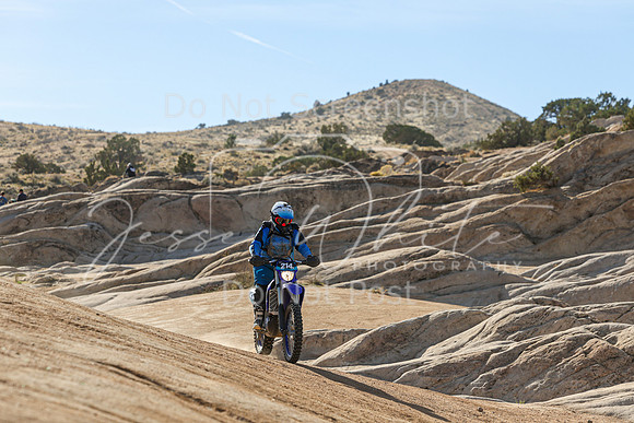 IMG_1699-214v