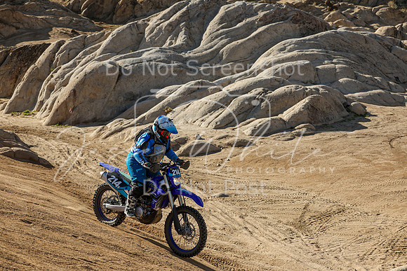 IMG_1703-214v