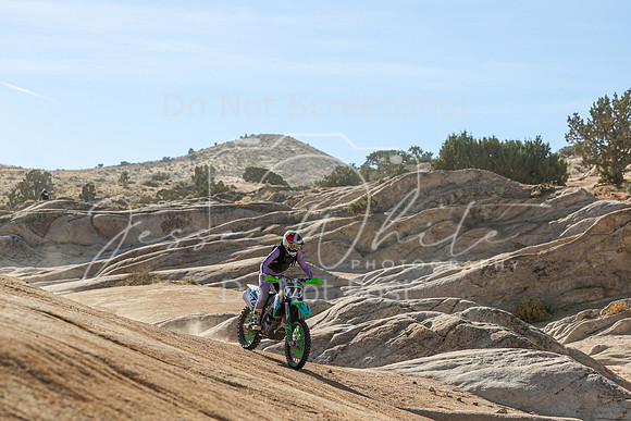 IMG_1737-77v
