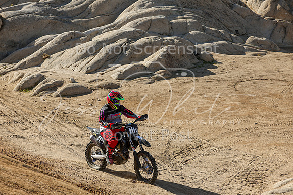IMG_1730-19v