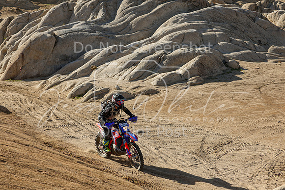 IMG_1756-413v