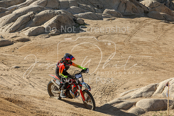 IMG_1766-888v