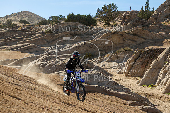 IMG_1781-33v