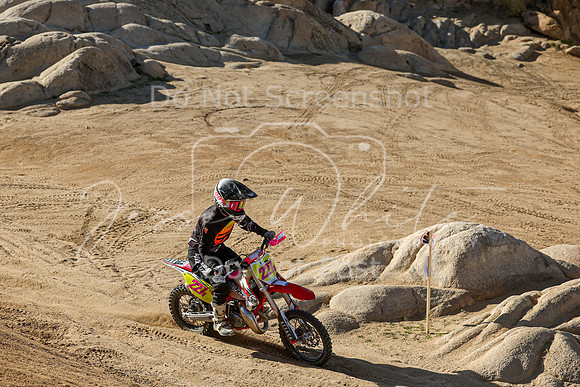 IMG_1807-227v