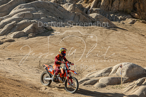 IMG_1899-121v