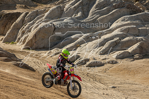 IMG_1931-474v