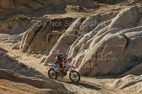 IMG_1934-350v