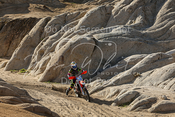 IMG_1935-350v