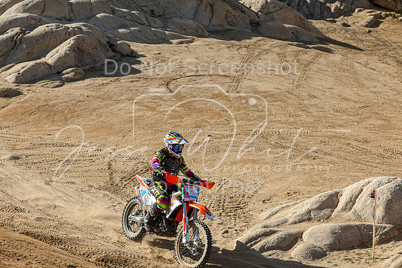 IMG_1938-350v