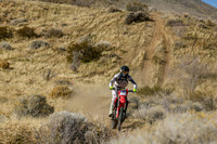 IMG_2020-348n