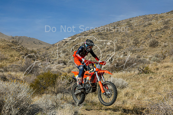 IMG_2047-812x