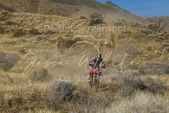 IMG_2034-9