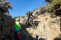 IMG_2893-393n