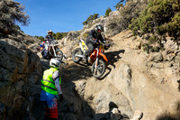 IMG_2909-311p