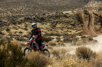 IMG_3841-72n