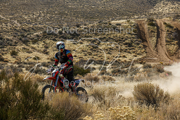 IMG_3841-72n