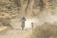 IMG_3902-312n