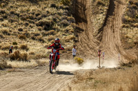 IMG_3913-188n