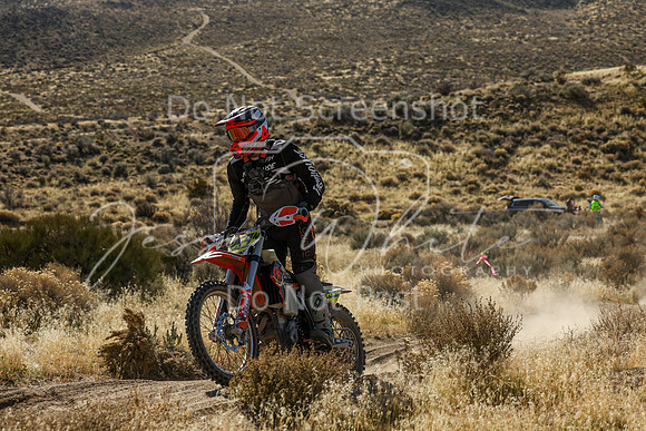 IMG_3961-259n