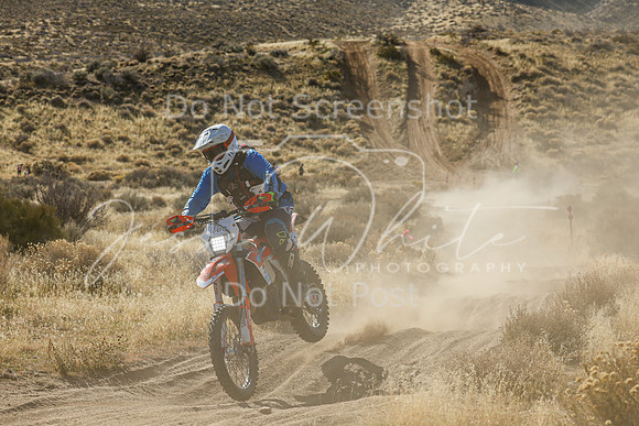 IMG_4081-186c