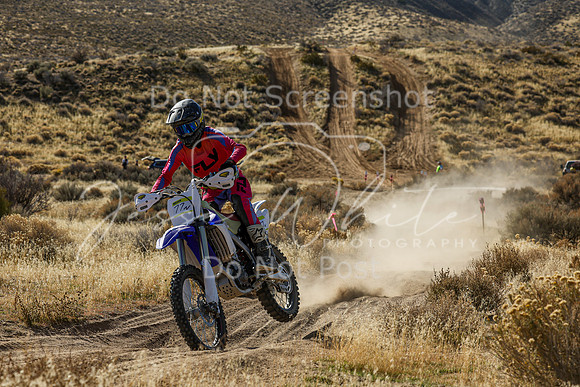 IMG_4206-77n