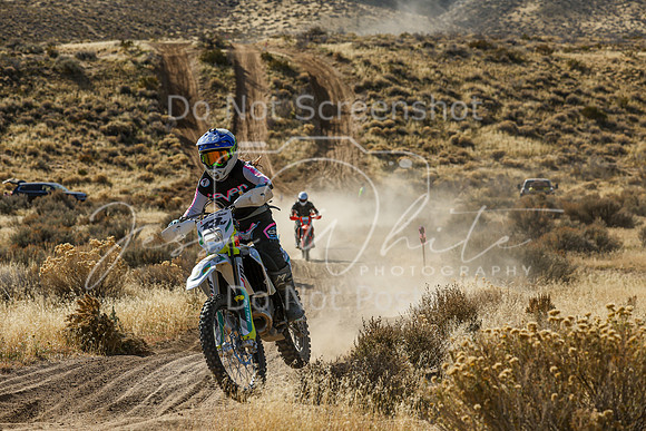 IMG_4225-13v