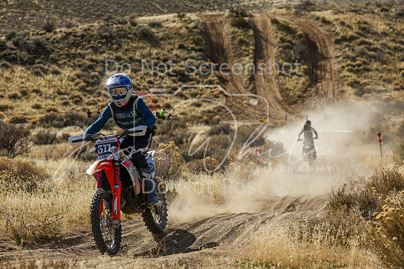 IMG_4304-311a
