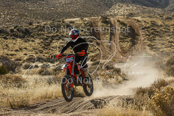 IMG_4292-515t