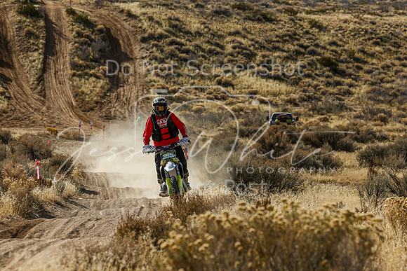 IMG_4315-395p