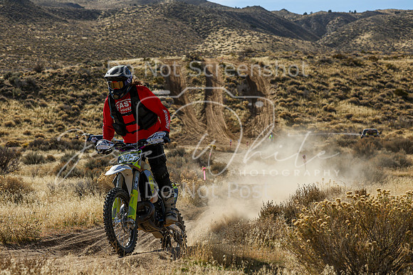 IMG_4320-395p