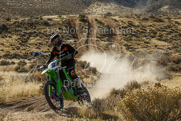 IMG_4331-197p