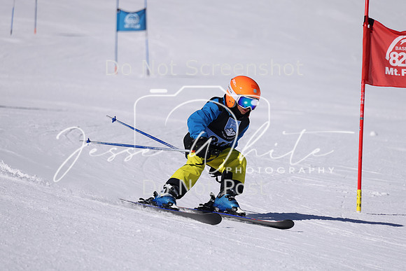 IMG_8501