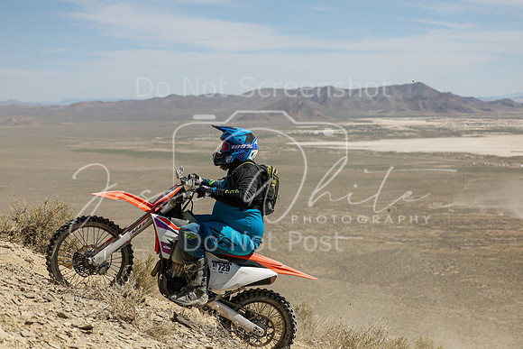 IMG_3663-nt729