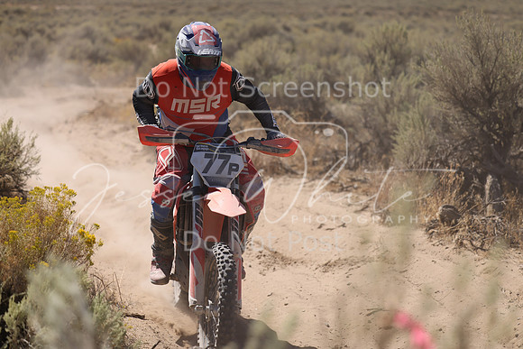 IMG_4209-77p