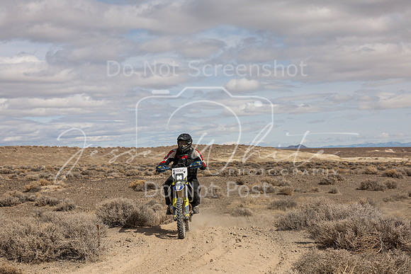 IMG_2202-103a